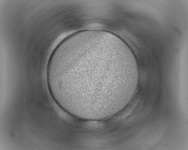 X0000112481478200908311400