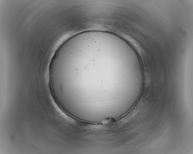 X0000112481479200908311400