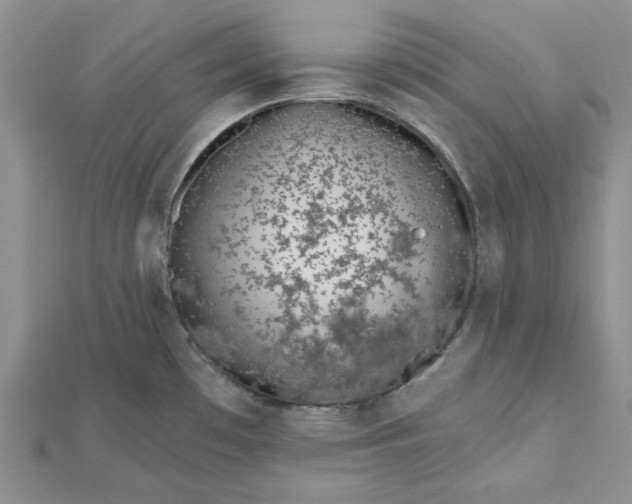 X0000112481481200908311400