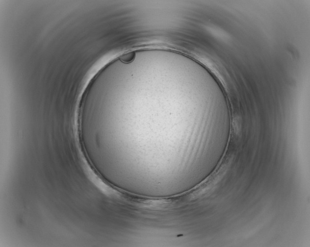 X0000112481482200908311400