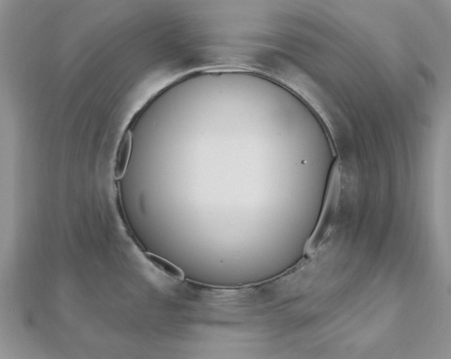 X0000112481485200908311400