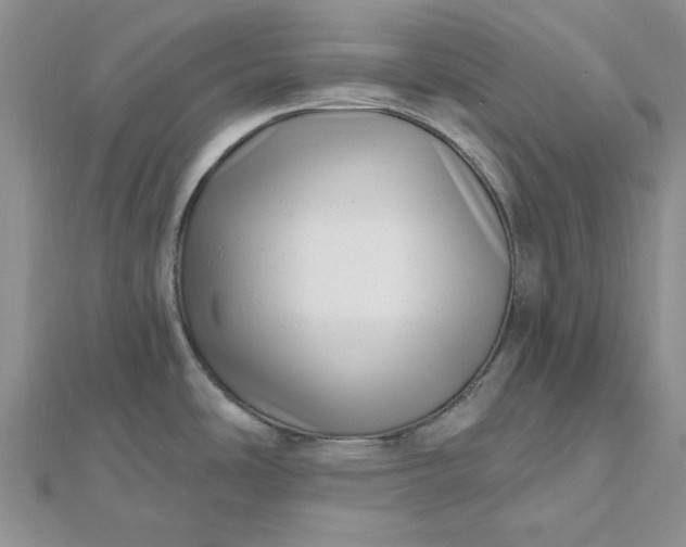 X0000112481486200908311400