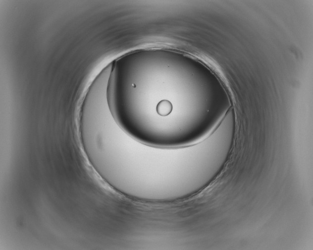 X0000112481488200908311400