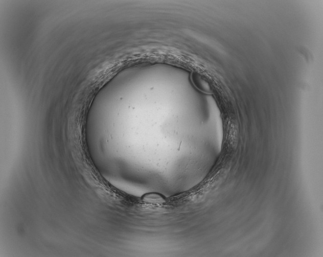 X0000112481489200908311359