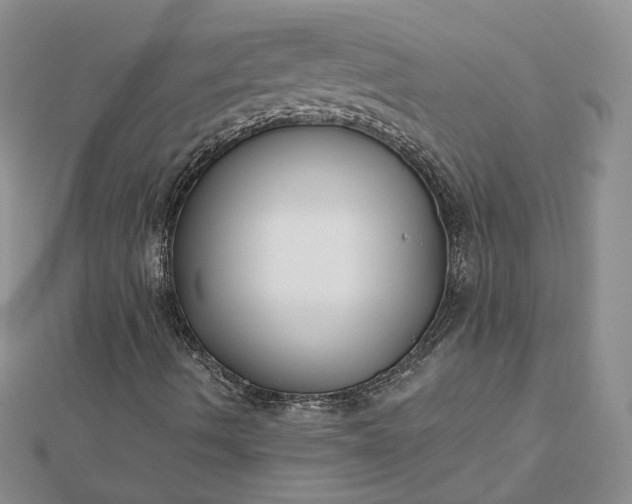 X0000112481490200908311359