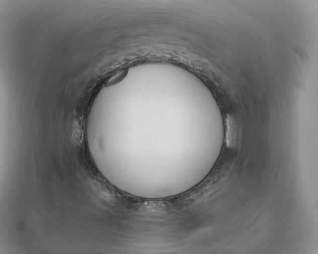 X0000112481491200908311359