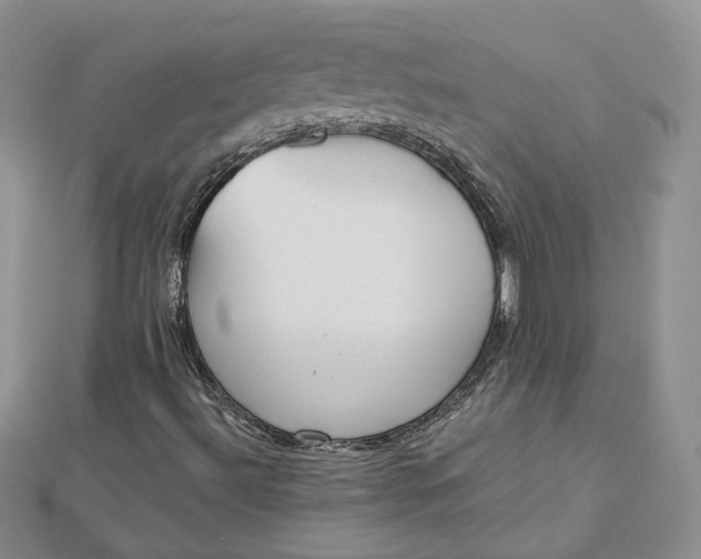 X0000112481492200908311359