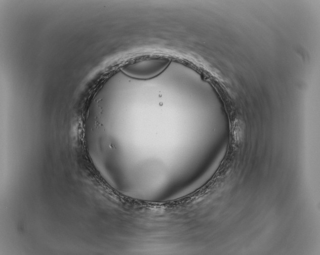 X0000112481495200908311359