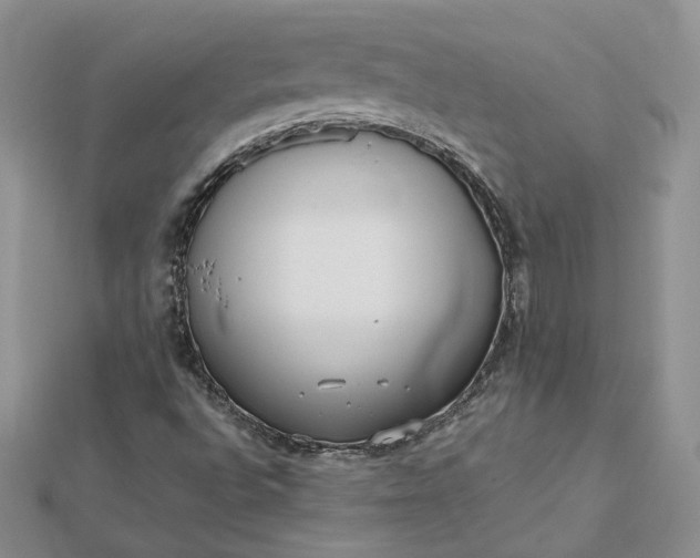 X0000112481496200908311359