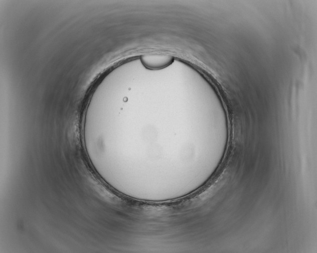 X0000112481498200908311359