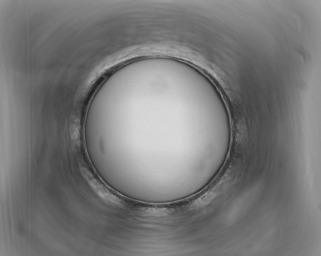 X0000112481499200908311359