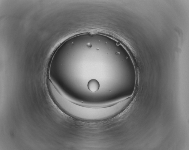 X0000112481500200908311400