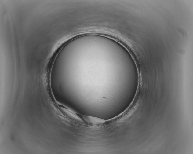 X0000112481501200908311400