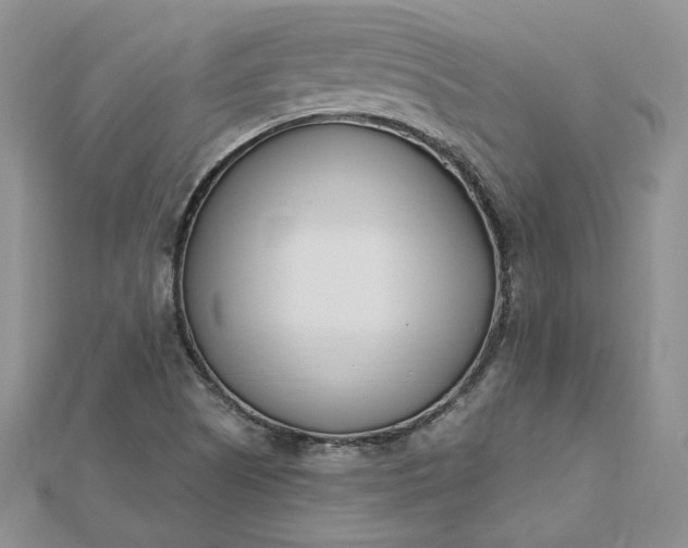 X0000112481505200908311400