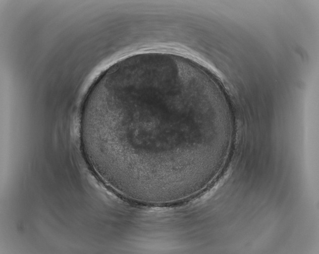 X0000112481506200908311400