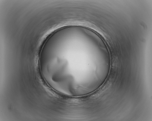 X0000112481507200908311400