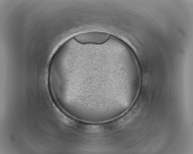 X0000112481508200908311400