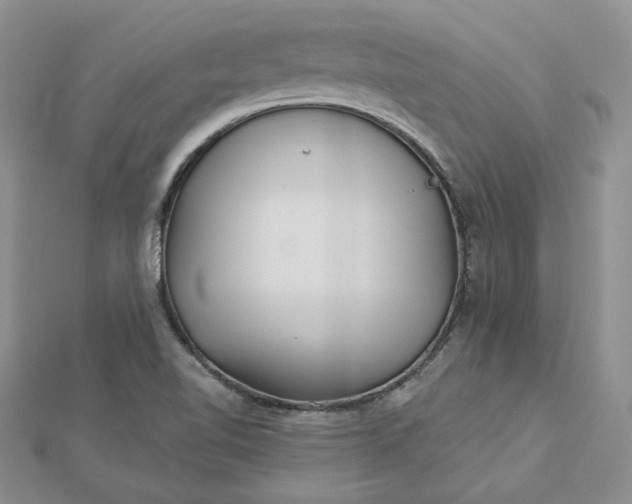 X0000112481510200908311400