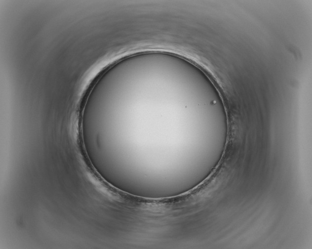 X0000112481511200908311400