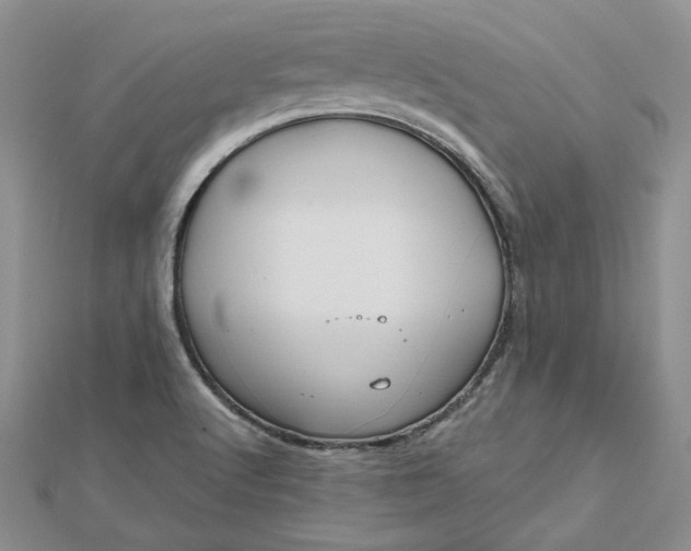 X0000112481512200908311400