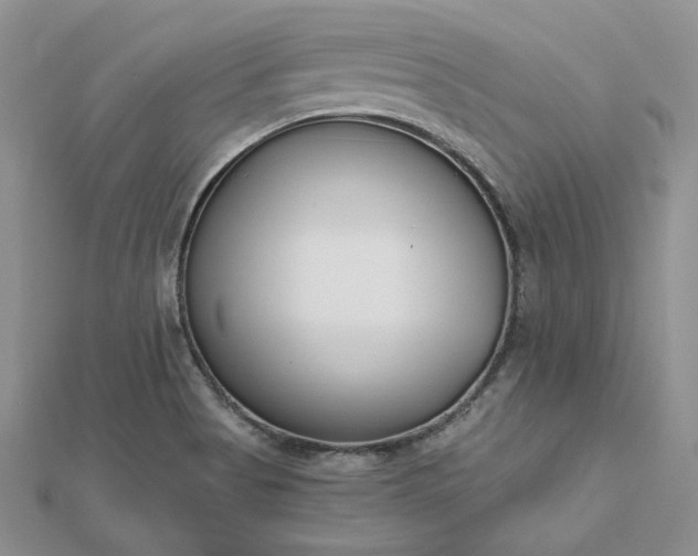 X0000112481513200908311400