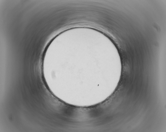 X0000112481514200908311400