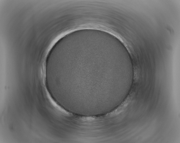 X0000112481515200908311400