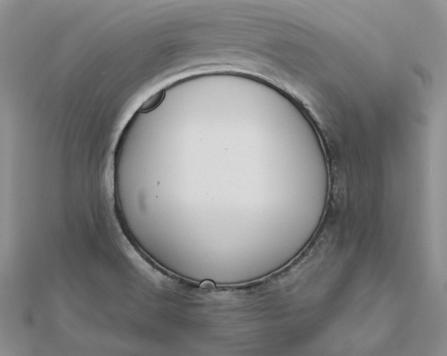 X0000112481516200908311400