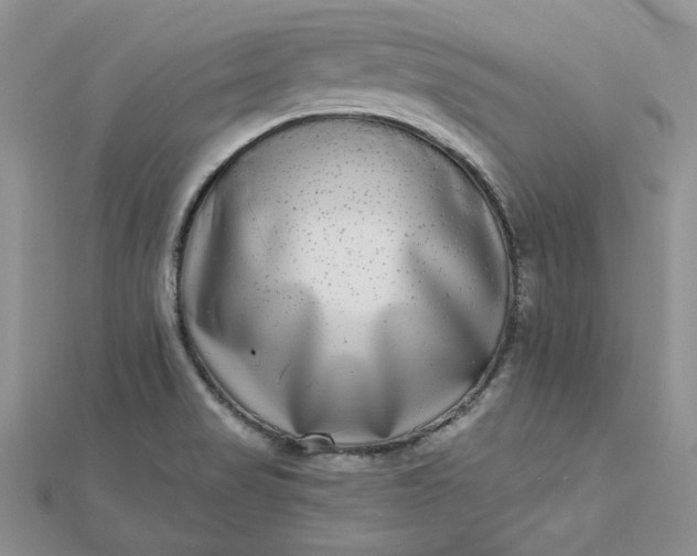 X0000112481517200908311400