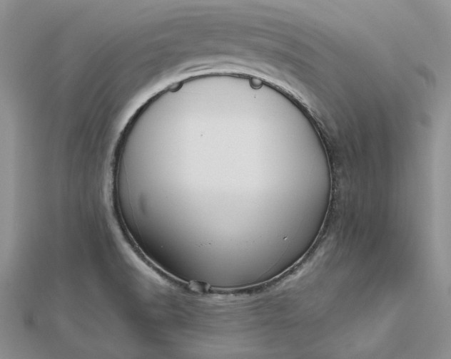 X0000112481518200908311400