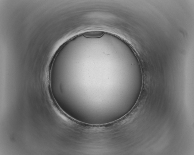 X0000112481519200908311400