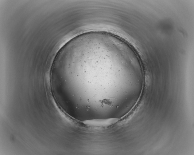 X0000112481521200908311400