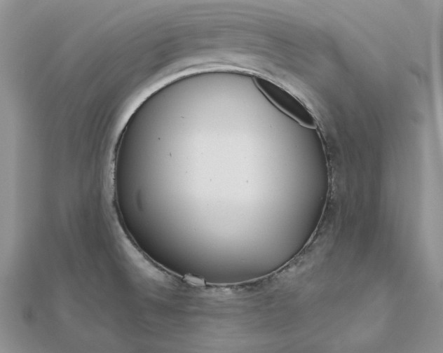 X0000112481524200908311400