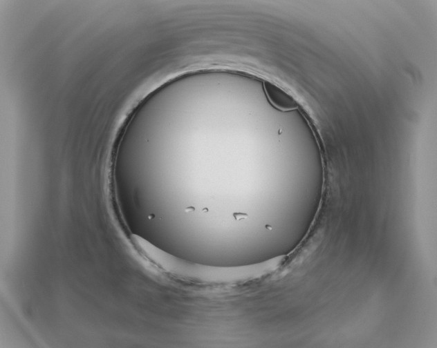 X0000112481525200908311400