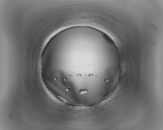 X0000112481526200908311400