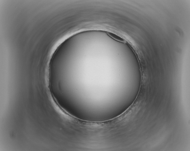 X0000112481528200908311400