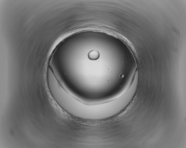 X0000112481530200908311400