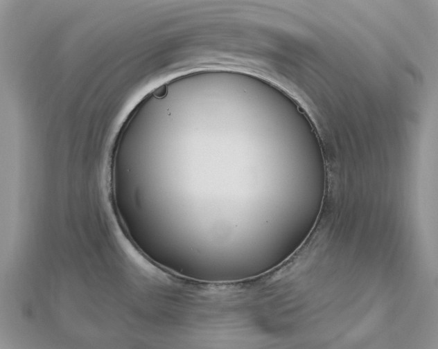 X0000112481531200908311400