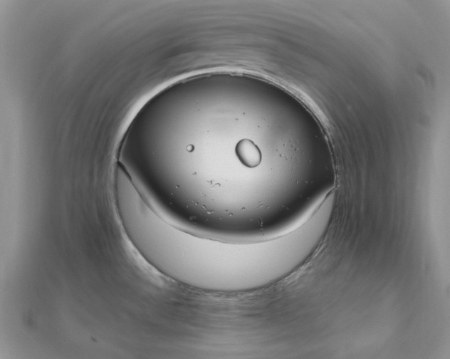 X0000112481532200908311400