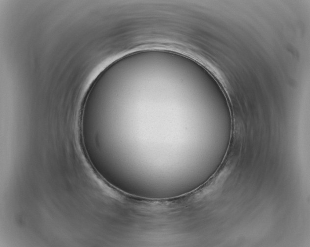 X0000112481533200908311400