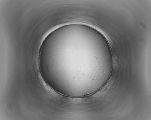 X0000112481534200908311400