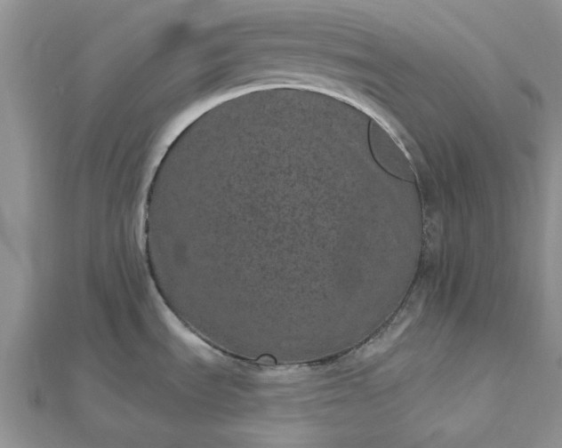 X0000112481535200908311400