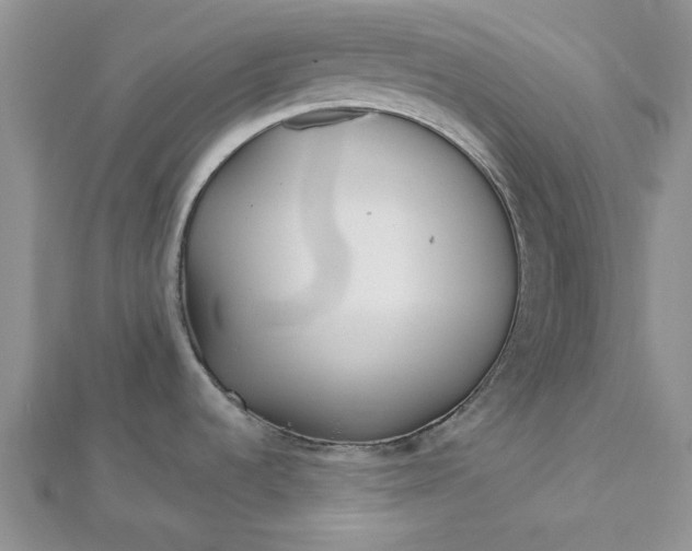 X0000112481536200908311400