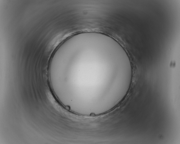 X0000112480002200909071208