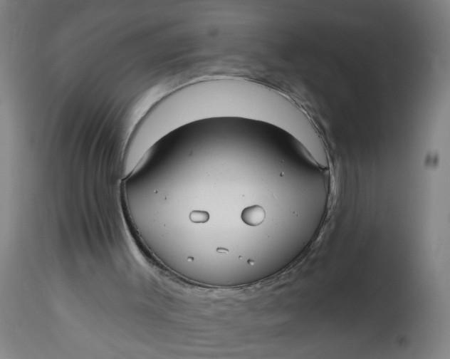 X0000112480003200909071208