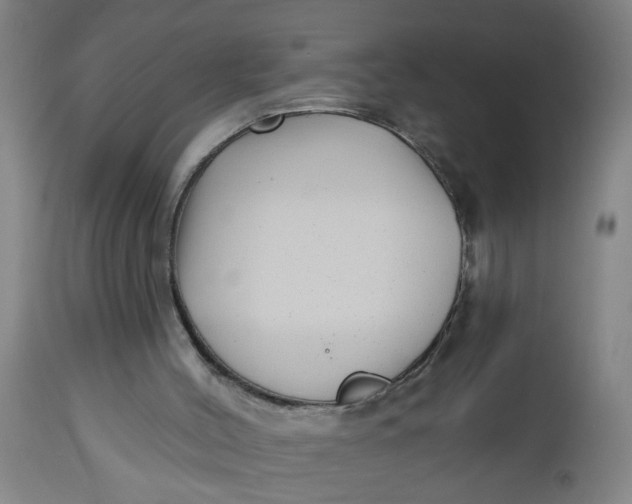 X0000112480004200909071208