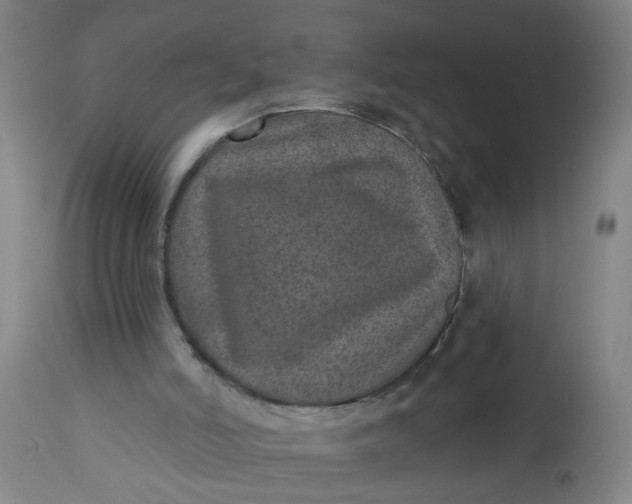 X0000112480006200909071208