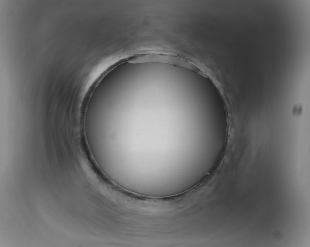 X0000112480008200909071208