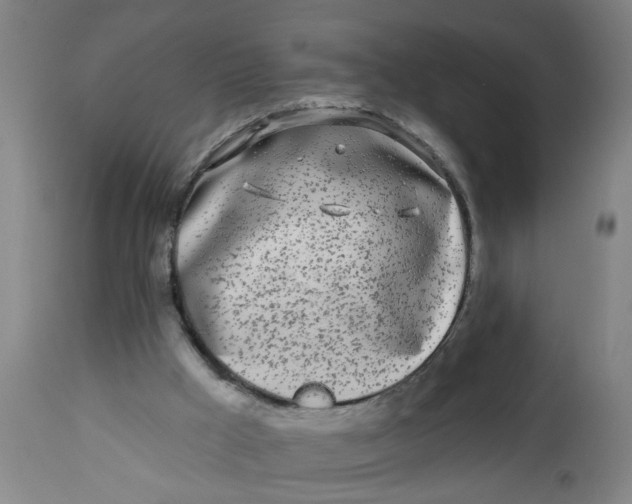 X0000112480009200909071208