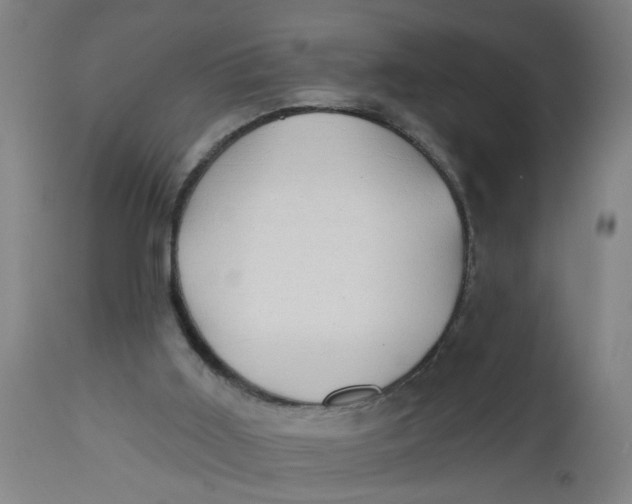 X0000112480011200909071208